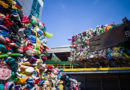 circular Economy,