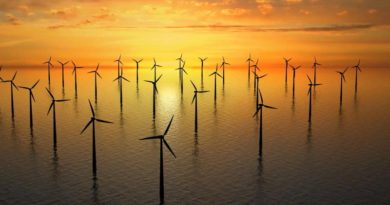 Green New Deal, Climate change, Neutral Carbon, Renewable energy, Energy Efficiency, Storage