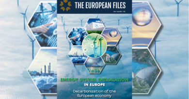 Energy system integration in Europe - Decarbonization of the European economy