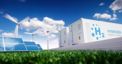 hydrogen. strategy. climate-neutral. european union. plan. hydrogen production. sustainable energy