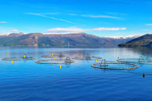 Aquaculture