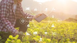Agriculture - F2F - European Union - Strategy - Farm to Fork - Green Deal- Policy - CAP - Sustainability