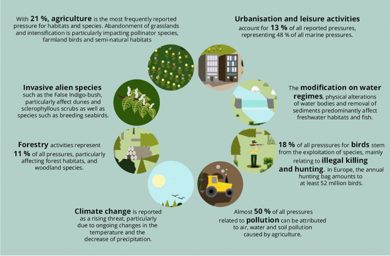 Restoring biodiversity to its natural place The European Files