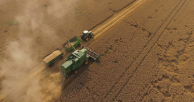 Environment - Sustainability - F2F - Agriculture - Farm to Fork - Food Security - CAP - Farmers - Strategy - Green Deal