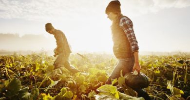 F2F - FoodSecurity supply Chain