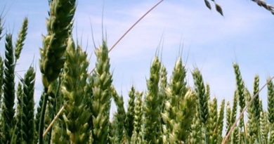 Food System resistance