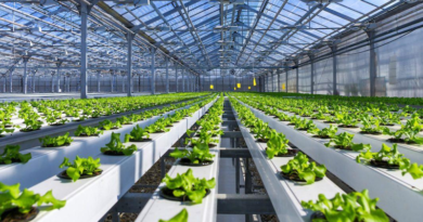 VEOLIA Food system