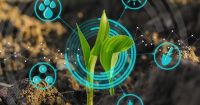 Innovation - F2F - Farm to Fork - agriculture - sustainability - strategy - environment - climate change - investment - food production - sustainable development