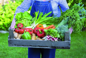 Bio agriculture