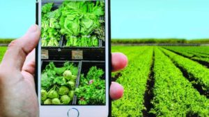 Farm to fork - PAC - Food System - EU - Sustainable food - Farmers - Production Practices -