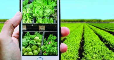 Farm to fork - PAC - Food System - EU - Sustainable food - Farmers - Production Practices -