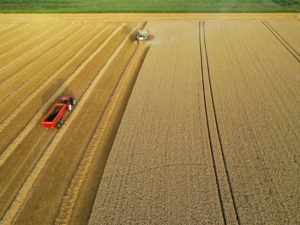 Innovation - Rules - CAP - Resilience - Resilient food system - Sustainable - Sustainability - Food system - Food security - Farm to fork - Strategy - Environment- Farm to fork strategy - Agricultural - Agriculture - Farming - Member States - EU - European Union - Farmers - Rural development - European Commission - Europe- Common Agricultural Policy - Transition