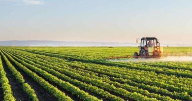 Green Deal - European Commission - EU - Europe - Food security - Pesticide - Agriculture - F2F - Farm to fork - Strategy -