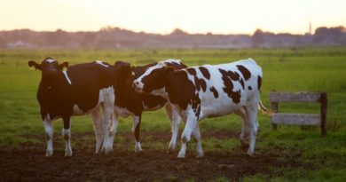 Agriculture - PAC
