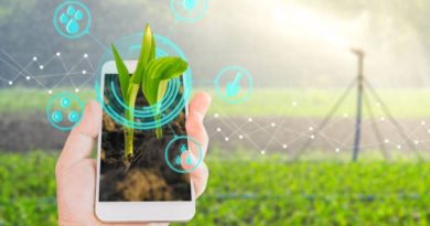 Innovation - Farmers - Sustainable food - Green Deal - Strategy - Farm to fork - EU - Europe - Agriculture
