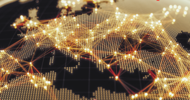 Interconnection of European Energy Networks, Foundation of Energy Security