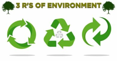 Circular Economy - Ecodesign