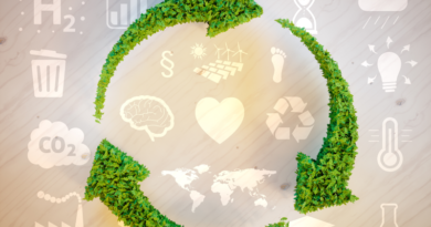 Economy Circular