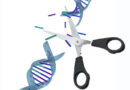 Boosting CRISPR-Cas as a solution to climate change and biodiversity conservation in the EU