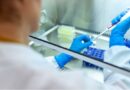 The value of investing in Advanced Therapy Medicinal Products:  combining sustainability, innovation and respect for patients’ rights