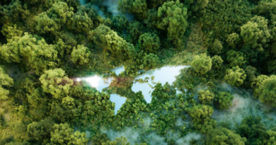 Green Finance